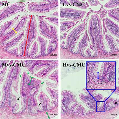 Feeding juvenile largemouth bass (Micropterus salmoides) with carboxymethyl cellulose with different viscous: Impacts on nutrient digestibility, growth, and hepatic and gut morphology